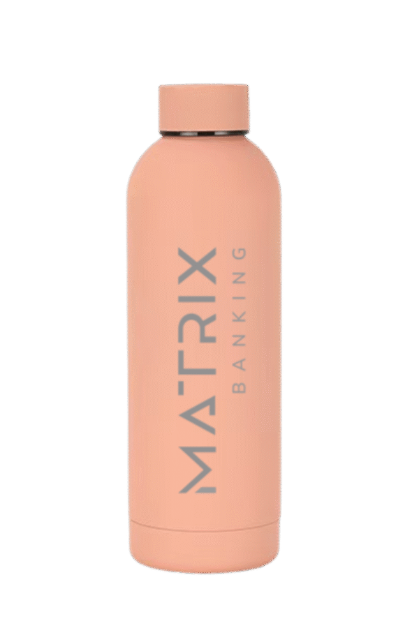 Matrix Stainless Steel Vacuum Water Bottle – 750 ml, peach